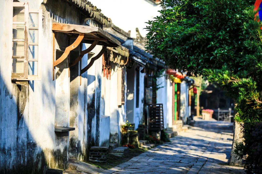 《丁丁历险记》向日葵教授的原型人物，有一次疯狂的热气球冒险